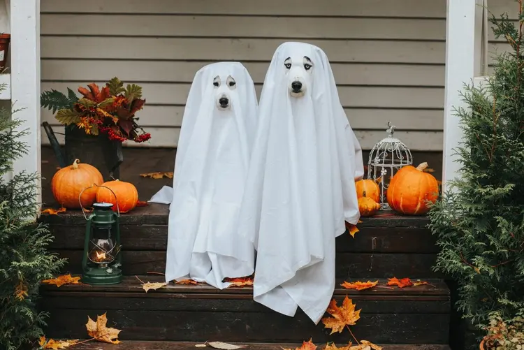 Fantasmas: o nome “Halloween” vem de “All Hallows’ Eve” (Sergeeva/Getty Images)