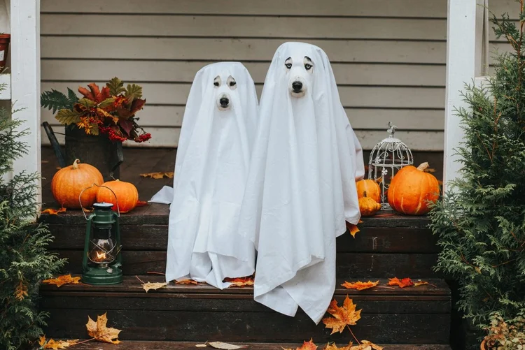 Fantasmas: o nome “Halloween” vem de “All Hallows’ Eve” (Sergeeva/Getty Images)