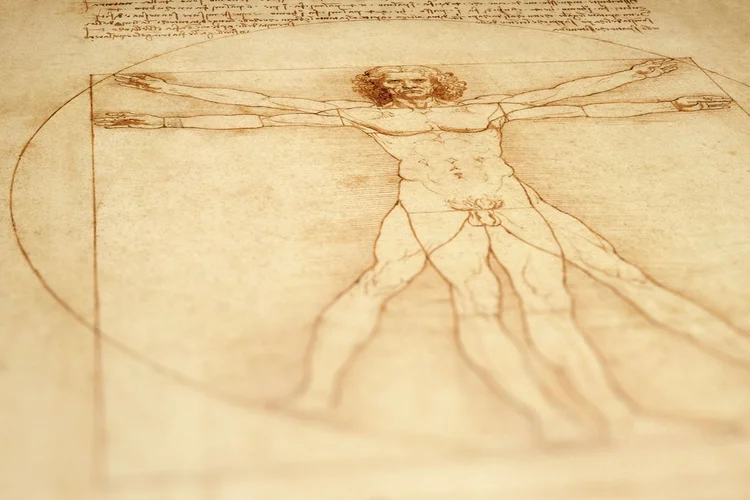 Leonardo Da Vinci: uma oportunidade para estudar inglês com a arte (Vaara/Getty Images)