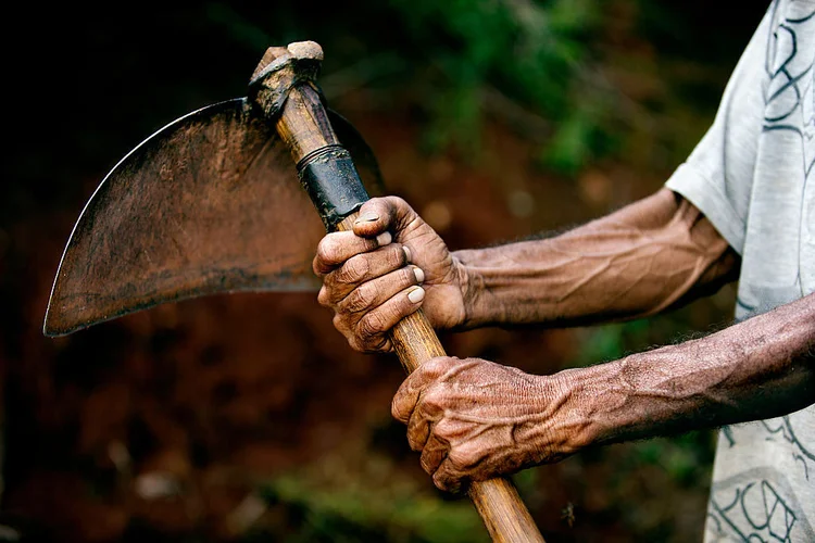 Agricultor: média de trabalhadores por estabelecimento caiu de 3,2 em 2006 para 3 em 2017 (Reza/Getty Images)