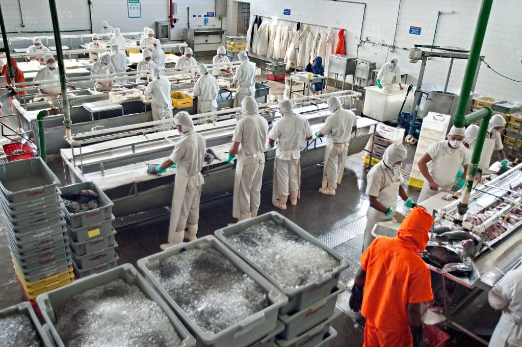 África do Sul abre mercado para pescados de cultivos do Brasil, diz Ministério da Agricultura