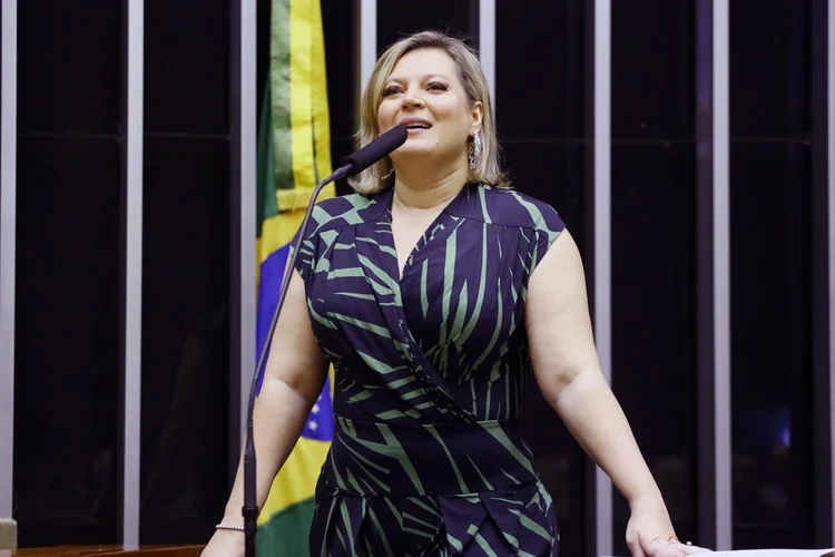 A pré-candidata Joice Hasselmann: "São Paulo precisa ter um padrão Manhattan" (Vinicius Loures/Agência Câmara)