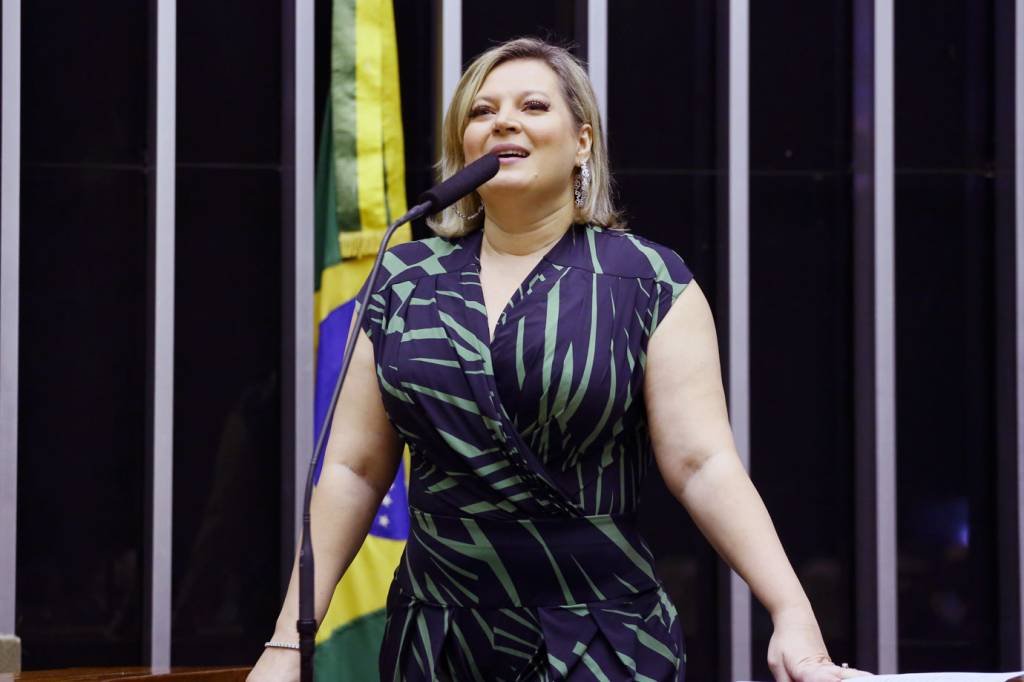 A pré-candidata Joice Hasselmann: "São Paulo precisa ter um padrão Manhattan" (Vinicius Loures/Agência Câmara)