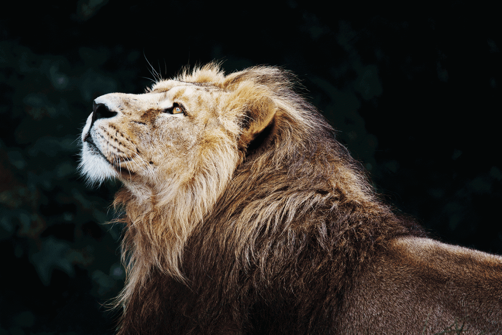 5 motivos para investir na Previdência Privada: o último pode ajudar a diminuir a “mordida do leão”