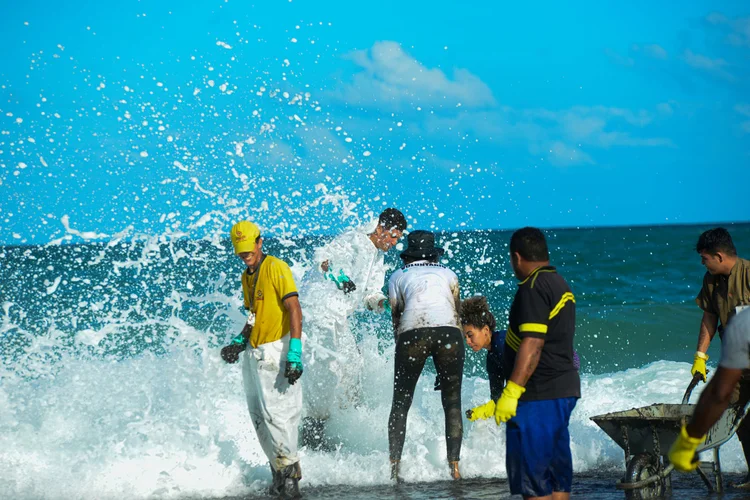 Óleo: pelo menos 238 pontos tiveram manchas pela costa do Nordeste (Teresa Maia/Reuters)