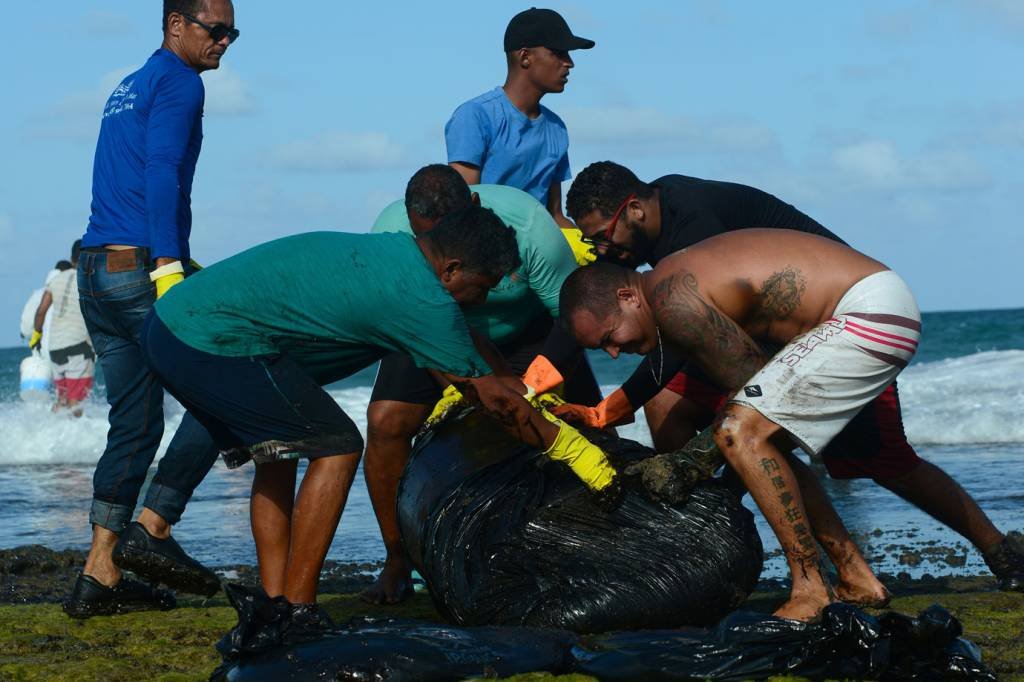 Mancha de óleo no Nordeste mobiliza voluntários; veja fotos e vídeos