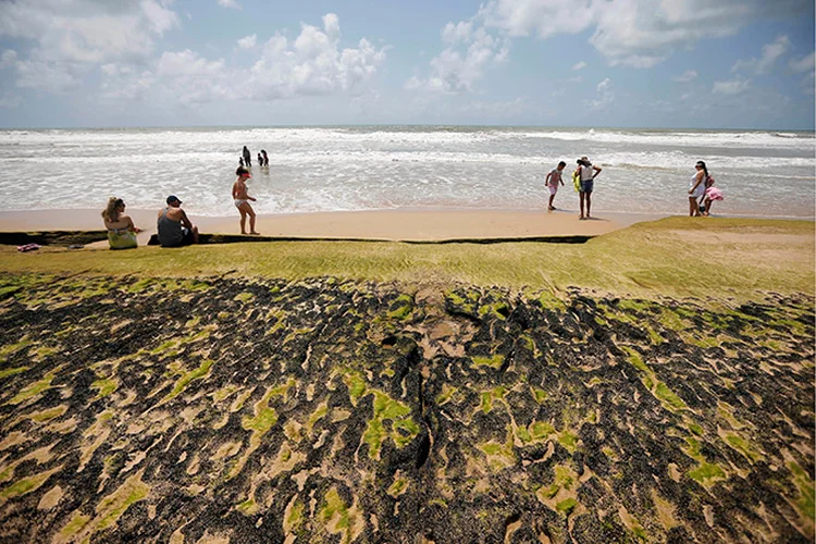 Derramamento de óleo é visto na praia 'Sitio do Conde' na Bahia em 12 de outubro de 2019. (Adriano Machado/Reuters)