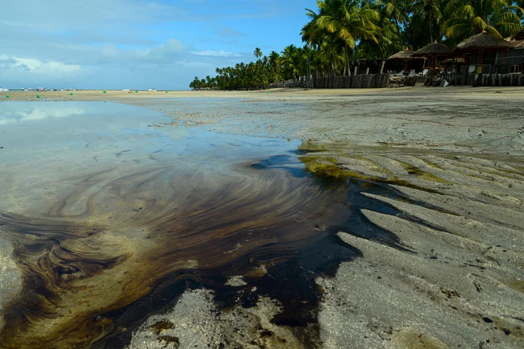 Nordeste: praias do litoral nordestino estão tomadas por manchas de óleo vazado de origem ainda desconhecida (Teresa Maia/Reuters)