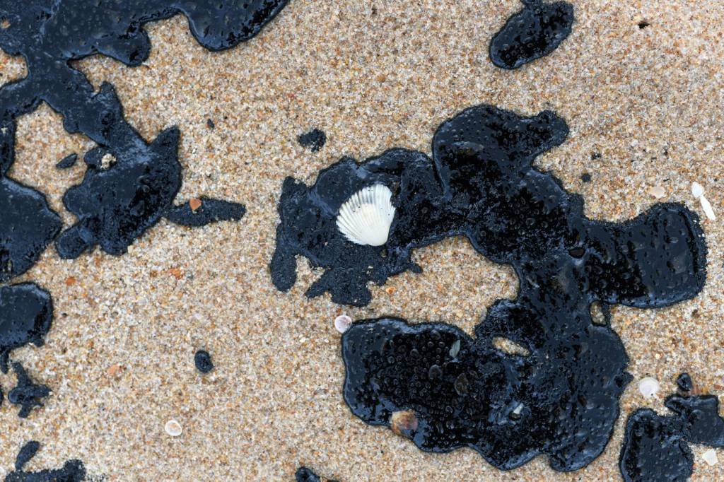 Petróleo: praias do Nordeste brasileiro estão tomadas por toneladas de óleo de origem ainda incerta (Lucas Landau/Reuters)