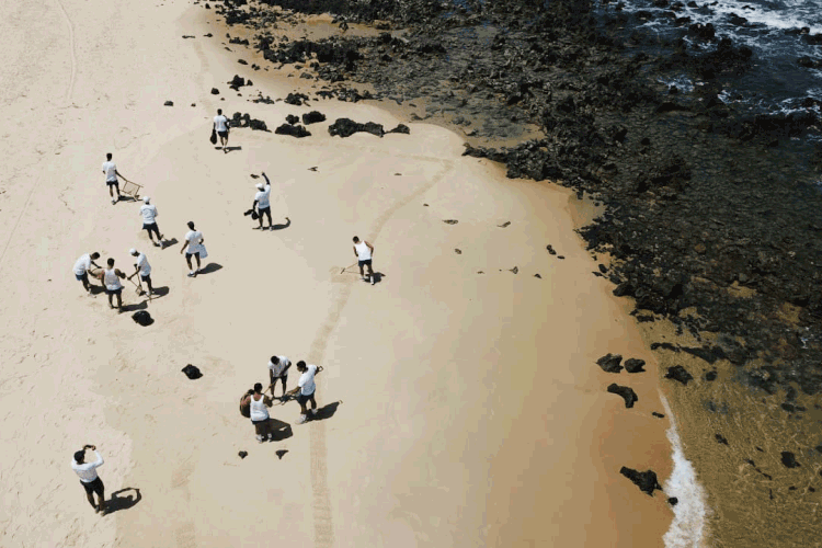 Óleo no nordeste: praias estão tomadas por manchas de petróleo (Marinha do Brasil/Divulgação)