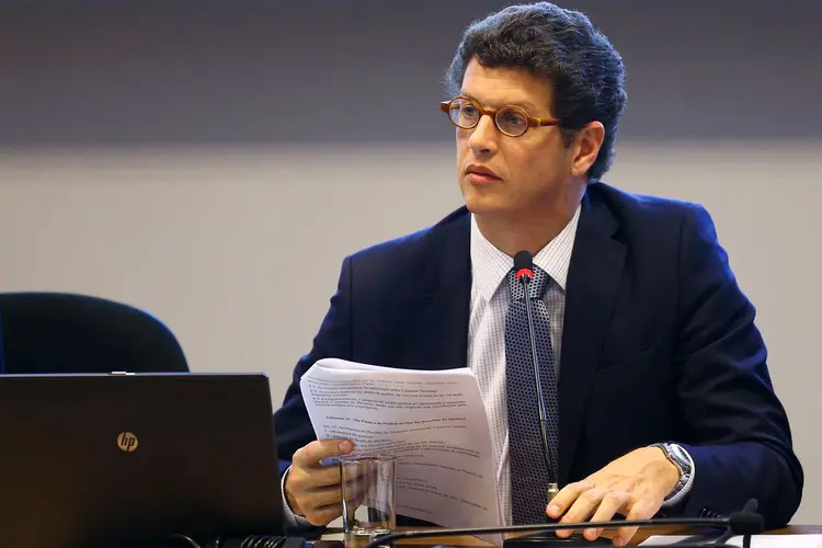 Ricardo Salles: ministro criticou "protecionismo" dos países ricos na COP25 (Marcelo Camargo/Agência Brasil)