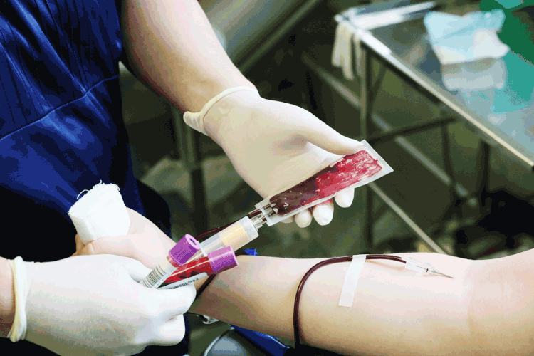 Doação de sangue  (Vladimir Gerdo / Colaborador/Getty Images)
