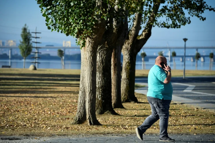 OCDE: A taxa de obesidade dos adultos passou de 21% em 2010 para 24% em 2016, ou seja, 50 milhões a mais de pessoas (AFP/AFP)
