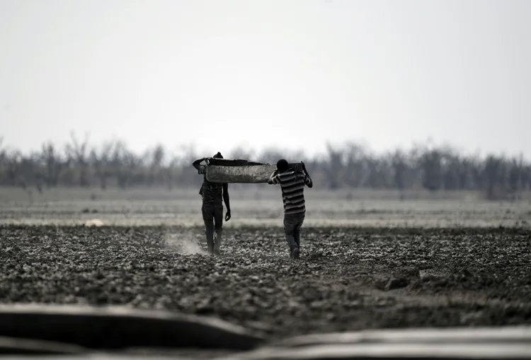 Botsuana: região que hoje faz parte do deserto do Kalahari já foi uma floresta exuberante (AFP/AFP)