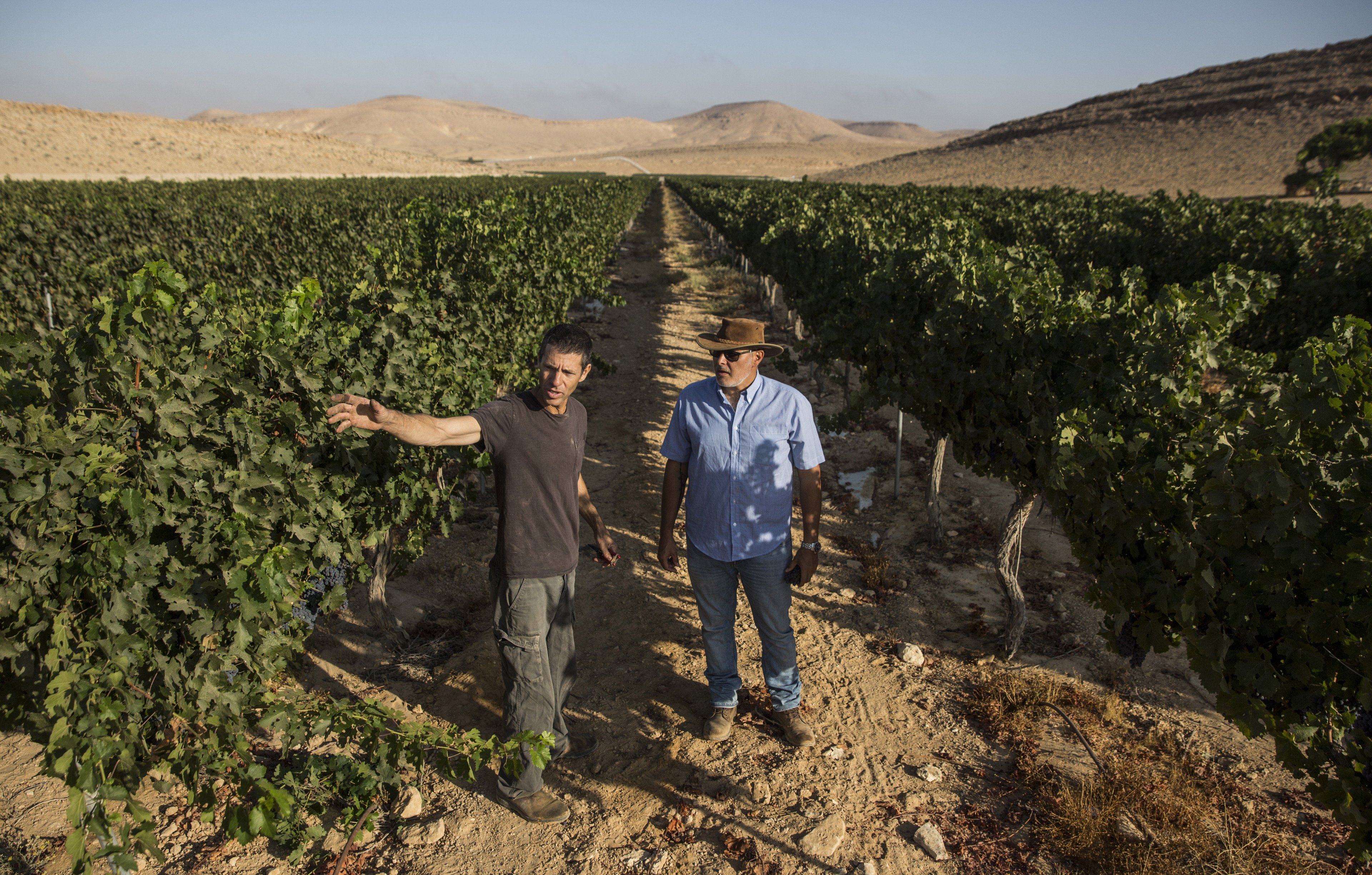 O futuro do vinho é muito seco