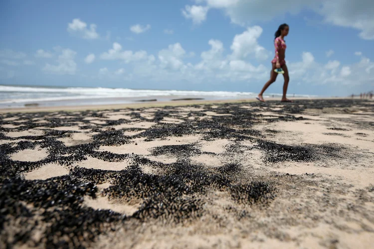 Óleo: cientista aponta que maior preocupação é que chegue a Abrolhos (Adriano Machado/Reuters)