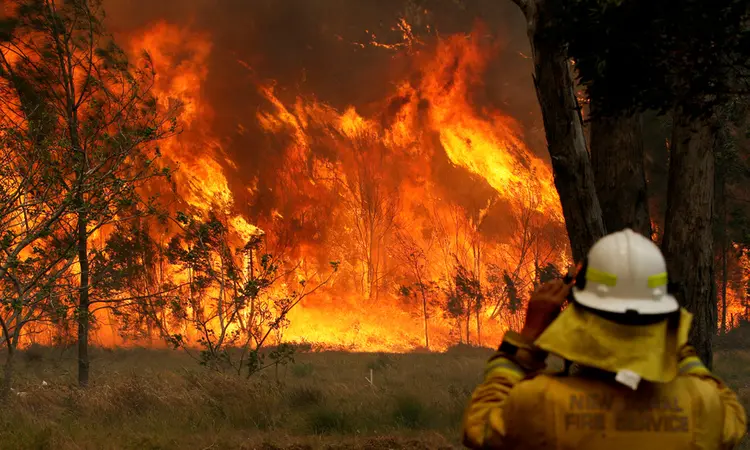 Incêndio na Austrália: Bombeiro tenta apagar chamas em New South Wales (Shane Chalker/Reuters)