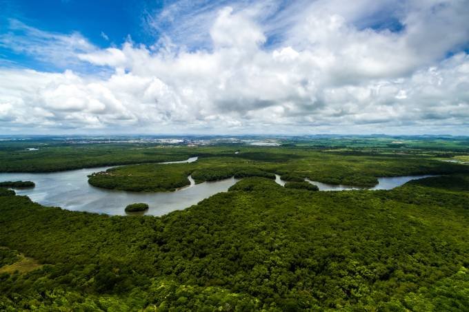 Na visão do relatório do Brazil Climate Report 2022, o Brasil pode dar uma contribuição expressiva para a descarbonização da economia mundial (iStock/Thinkstock/Reprodução)