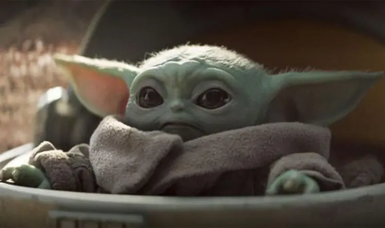 Ainda não se sabe muito sobre o "Baby Yoda" que aparece em "The Mandalorian", série do serviço de streaming Disney+ (Disney/Divulgação)