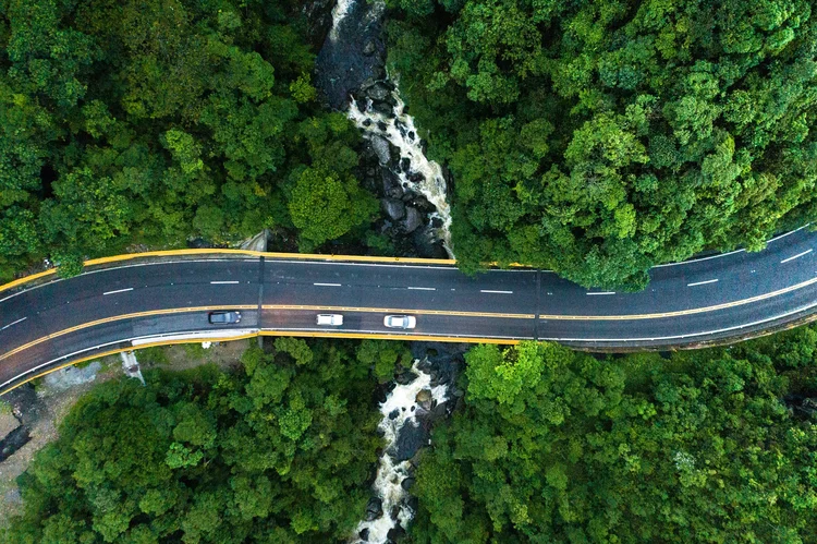 Infraestrutura: estrada passando por floresta no Brasil. (FG Trade/Getty Images)