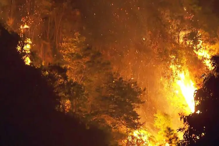 Incêndio: chamas começaram por volta das 20h30 de sábado (TV Globo/Reprodução)