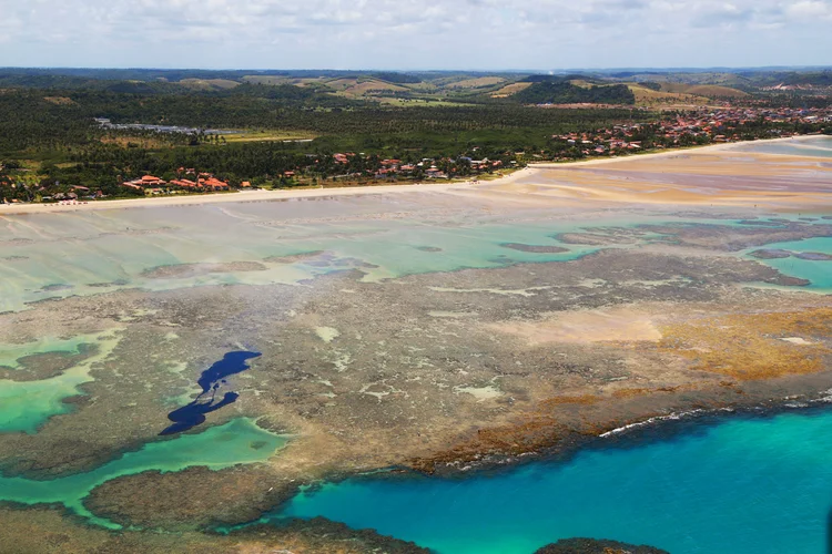 Manchas de óleo: material que contaminou praias do Nordeste, já alcançou o Sudeste e deve chegar no Rio de Janeiro (Diego Nigro/Reuters)