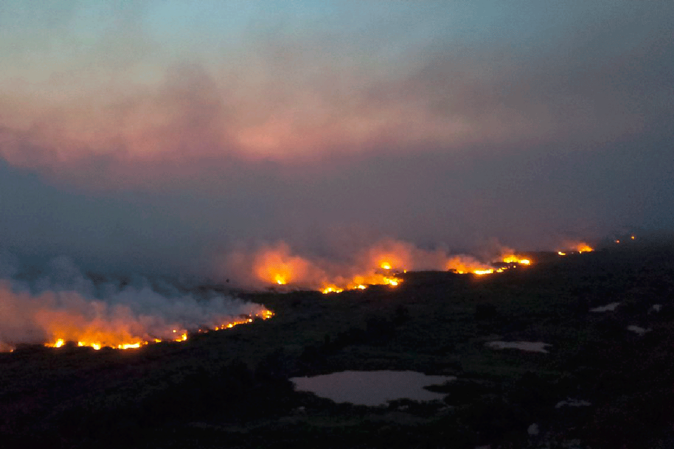 Pantanal tem maior número de incêndios para outubro em 17 anos