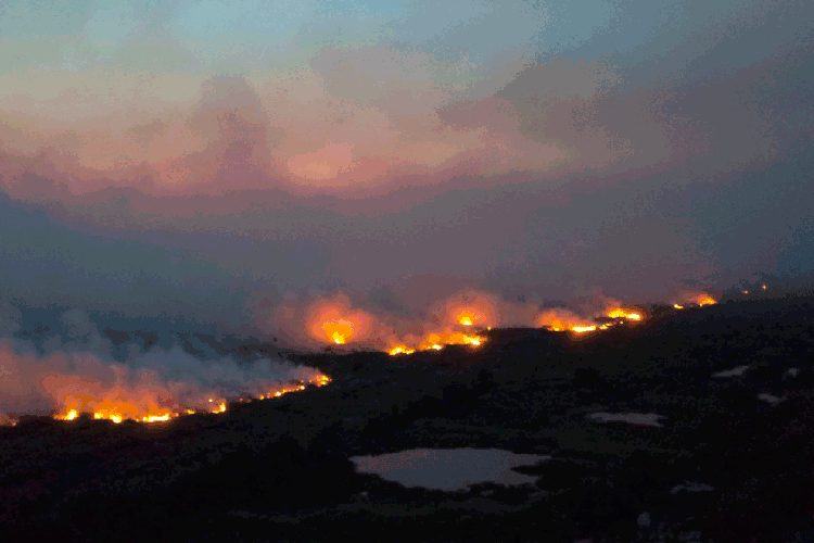 Pantanal: foram 2.430 focos de incêndio registrados no mês passado no bioma (Chico-Ribeiro/Governo Mato Grosso/Agência Brasil)