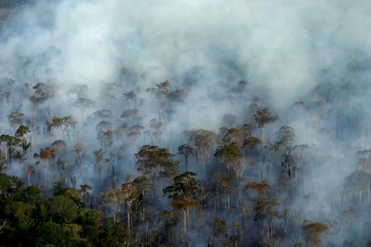 Amazônia: incêndios estão "intoxicando o ar" da maior floresta tropical do mundo (Bruno Kelly/Reuters)