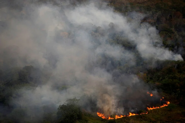 Queimadas: inquérito policial tenta descobrir quem são os responsáveis por fogo no Estado do Pará  (Bruno Kelly/Reuters)