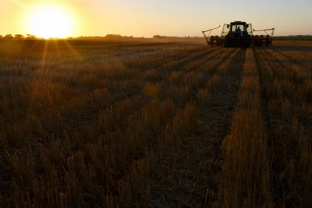 Bonança agrícola escapa das mãos de novo presidente da Argentina