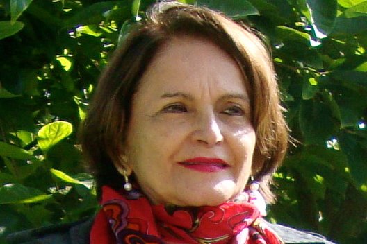 Morre a antropóloga Alba Zaluar, referência no estudo da violência no país