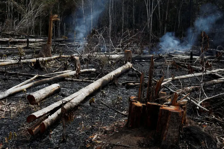 Amazônia: De acordo com o Deter, de janeiro a abril, desmatamento aumentou 64% (Bruno Kelly/Reuters)