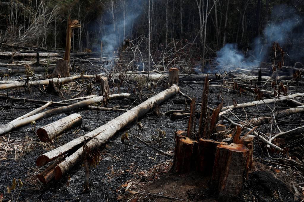 Desmatamento na Amazônia aumenta 64%