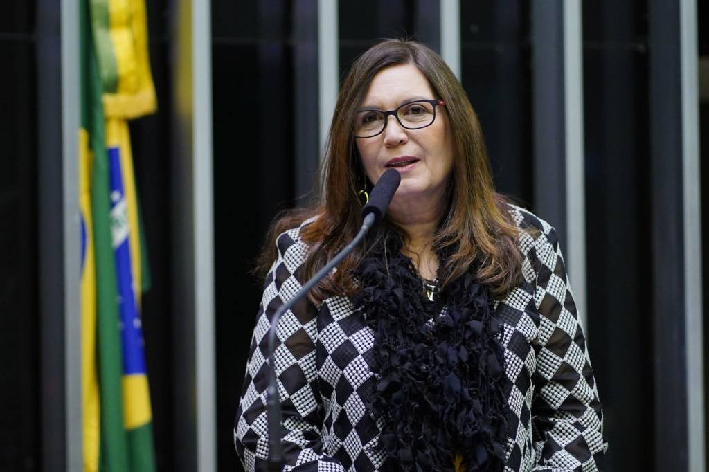 Bia Kicis: deputada é apoiadora da Aliança pelo Brasil, partido que o presidente Jair Bolsonaro tenta criar (Pablo Valadares/Agência Câmara)