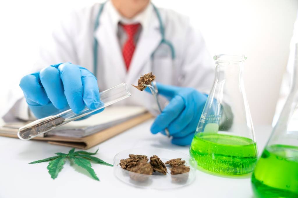 Governo de Israel promoverá investimento em cannabis medicinal