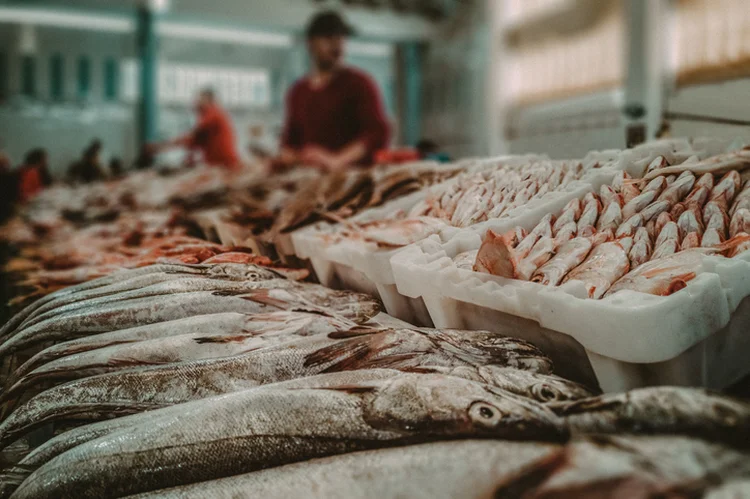 IBGE: Tilápia, salmão e camarão são pescados que estão mais caros (Pierre-Yves Babelon/Getty Images)