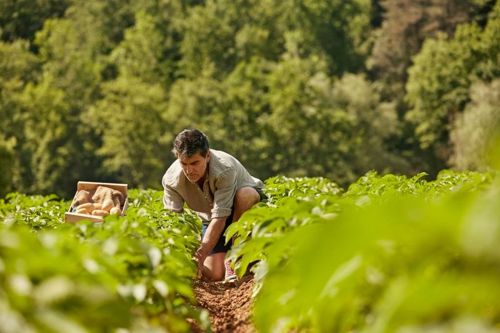 Prazo para aderir ao Refis Rural vai até o dia 30