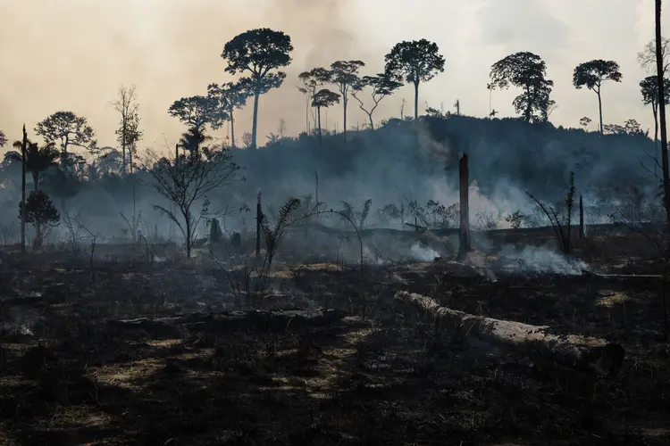 Incêndios em Alter do Chão foram causados por grileiros, segundo a PF (NurPhoto/Getty Images)