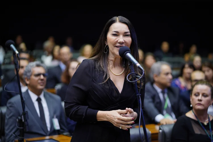 Margarete Coelho: deputada do PP afirma ser autora da emenda do juiz de garantias, que também foi abraçada por Marcelo Freixo (Pablo Valadares/Agência Câmara)