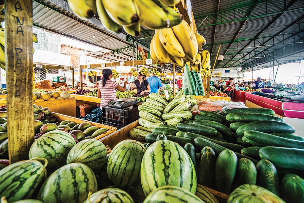 No Piauí, parceiros são bem-vindos