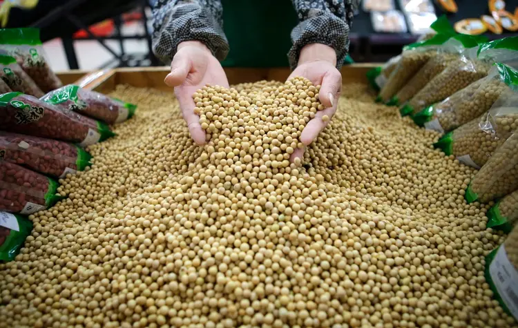 Soja: os EUA exigiram que Pequim assumisse compromissos firmes como aumentar a quantidade de produtos agrícolas importados (Stringer/Reuters)