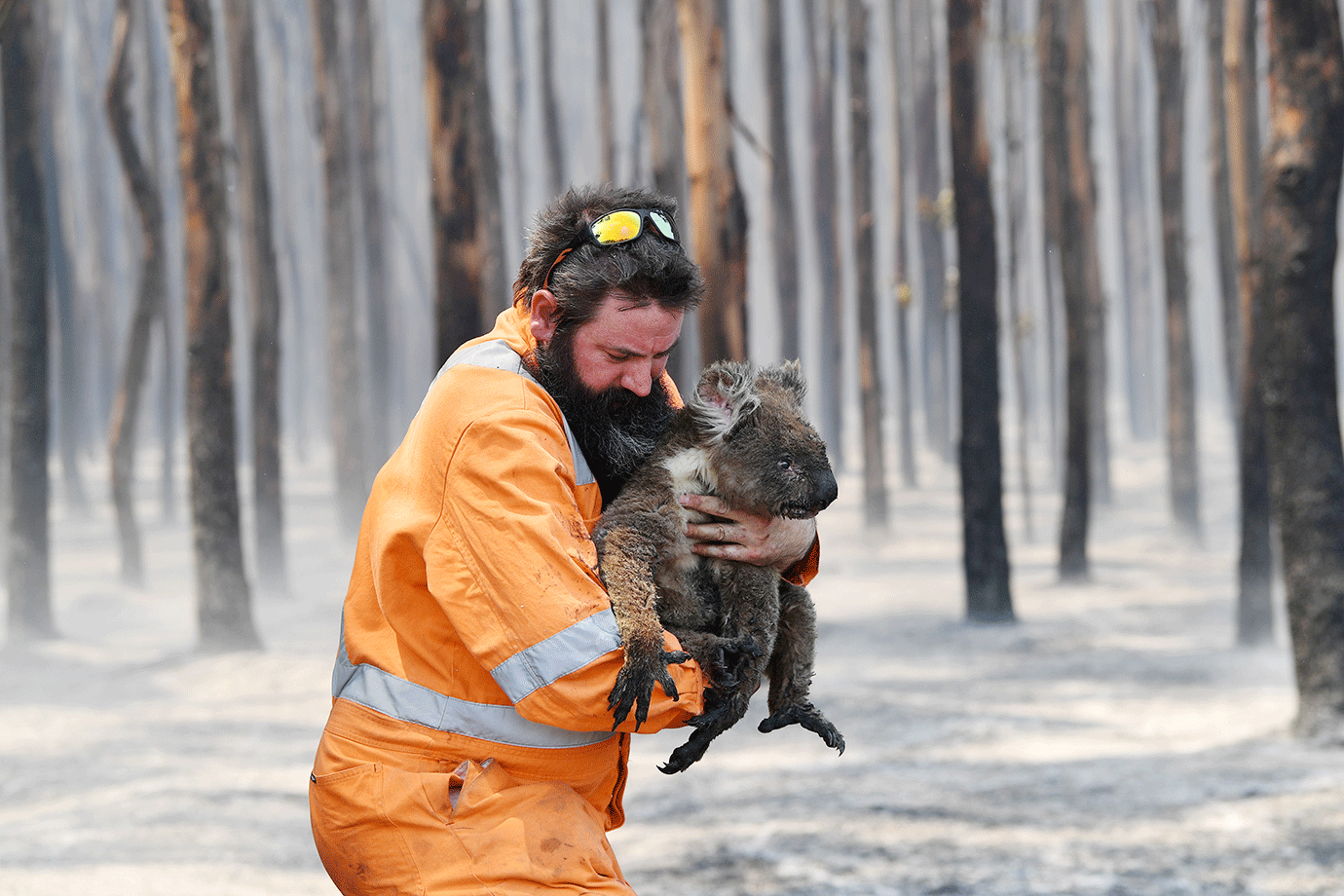 Bombeiros correm contra o tempo antes de temperatura aumentar na Austrália