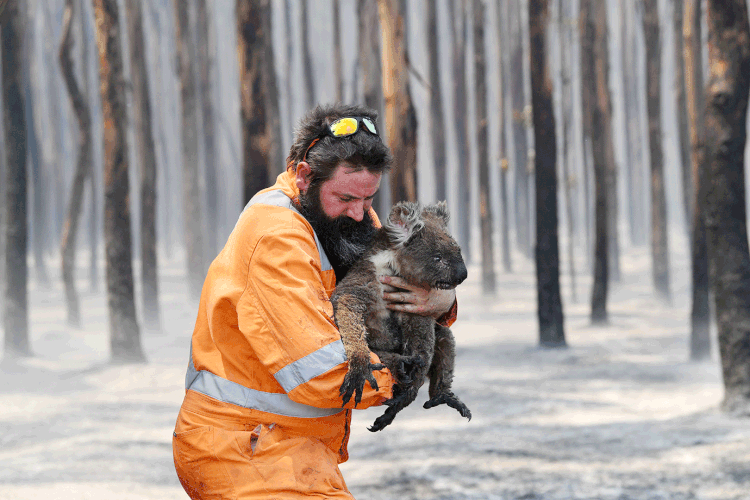 Austrália: se teme que dois grandes incêndios em Nova Gales do Sul e Victoria se juntem (Image/David Mariuz/Reuters)