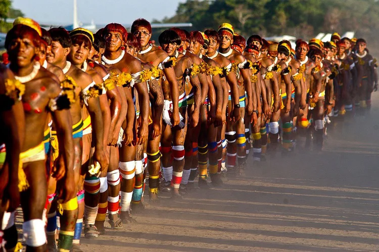 Índios: cerca de 600 membros de comunidades indígenas no Pará vão participar do projeto (Arquivo/Agência Brasil)