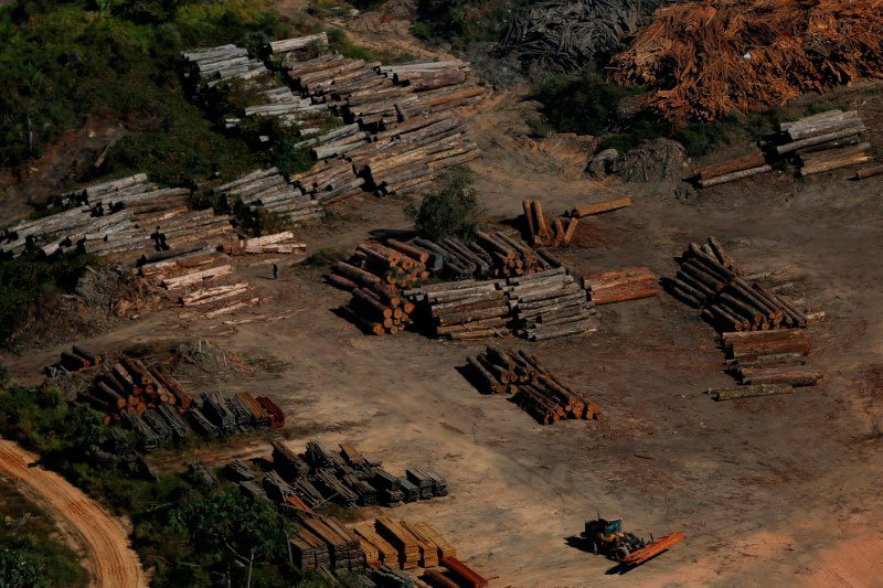 Área com avisos de desmatamento na Amazônia sobe 85% em 2019, mostra Inpe