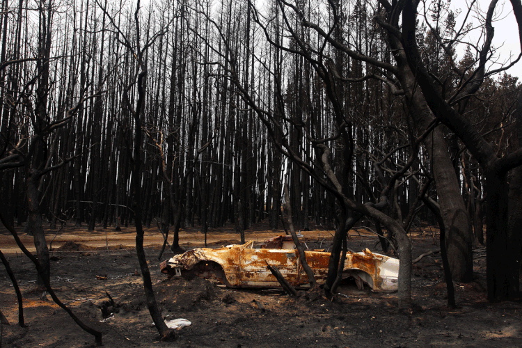 Austrália: 27 pessoas morreram nos incêndios desde outubro (Lisa Maree Williams/Getty Images)