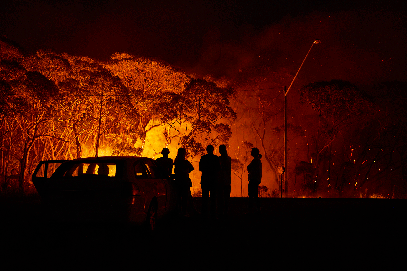 Agricultores australianos tentam curar feridas após incêndios