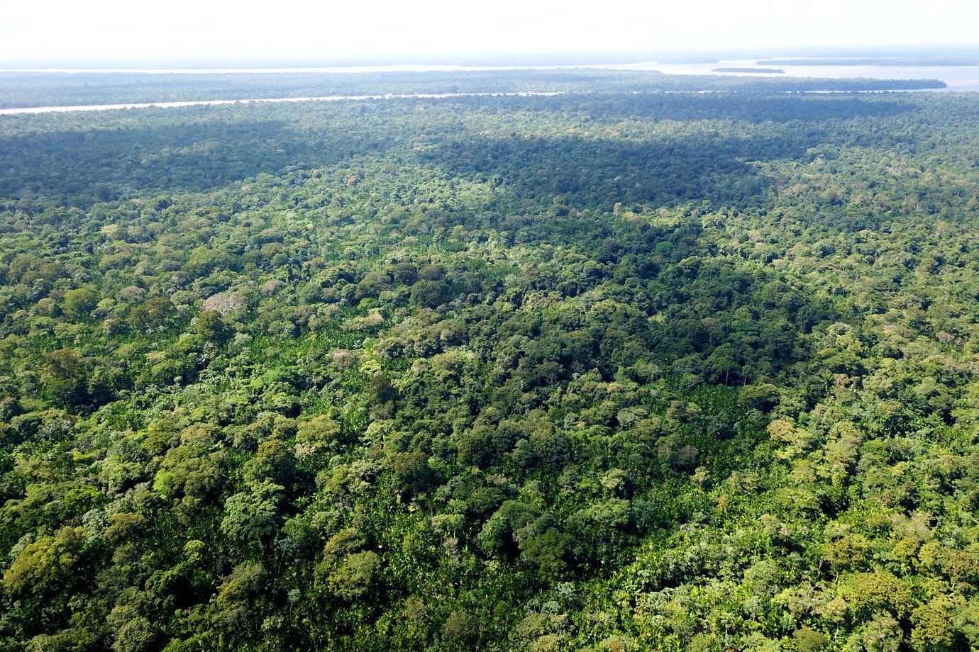 Mourão apresenta a embaixadores "nova visão" do Fundo da Amazônia