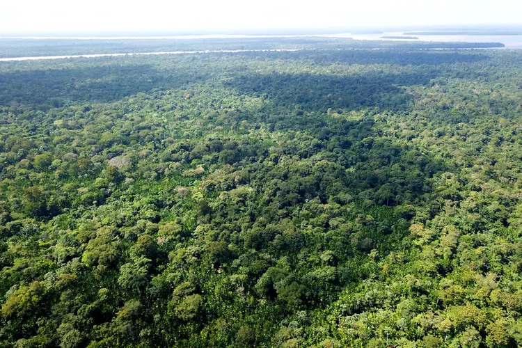 Amazônia: Mourão de reuniu com embaixadores para falar sobre recursos para a floresta (Ricardo Lima/Getty Images)